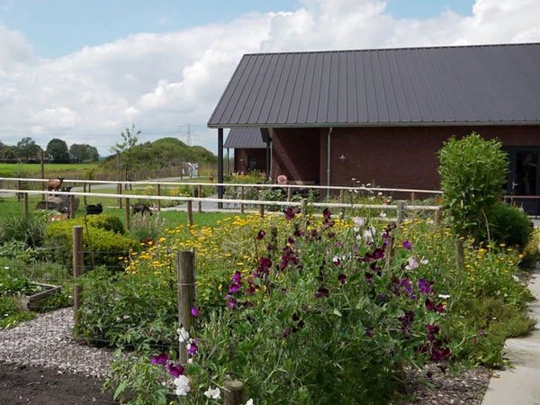 Zorgboerderij Damhoeve in Hoonhorst